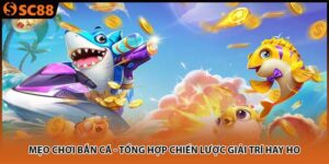 meo choi ban ca tong hop chien luoc giai tri hay ho 300x150 1